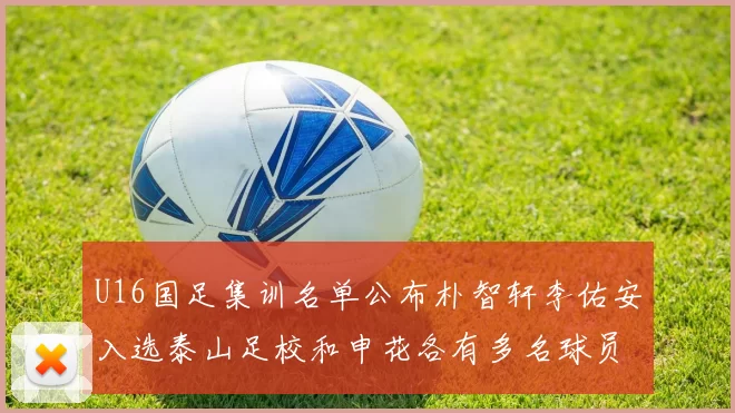 U16国足集训名单公布朴智轩李佑安入选泰山足校和申花各有多名球员参与